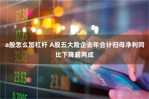 a股怎么加杠杆 A股五大险企去年合计归母净利同比下降超两成