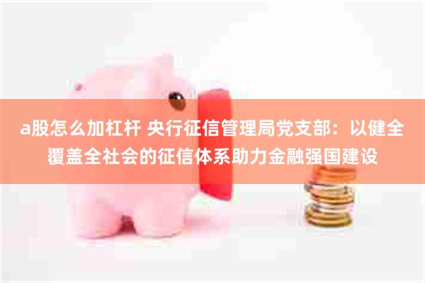 a股怎么加杠杆 央行征信管理局党支部：以健全覆盖全社会的征信体系助力金融强国建设