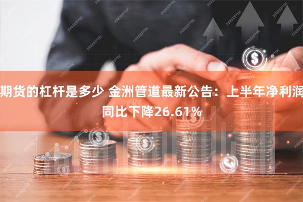 期货的杠杆是多少 金洲管道最新公告：上半年净利润同比下降26.61%