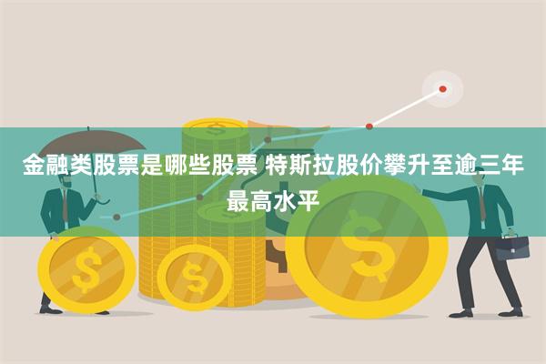 金融类股票是哪些股票 特斯拉股价攀升至逾三年最高水平