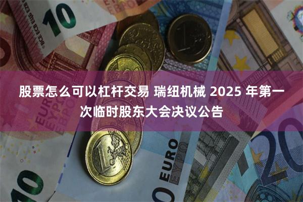 股票怎么可以杠杆交易 瑞纽机械 2025 年第一次临时股东大会决议公告